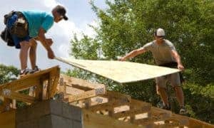 What Type of Plywood to Use for a Shed? – Plasticine House