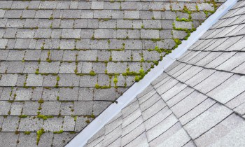 Cleaning Roof Shingles