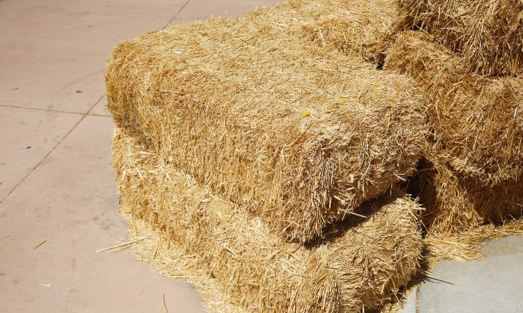 Straw And Hay